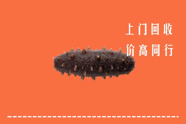 新乡市凤泉回收海参