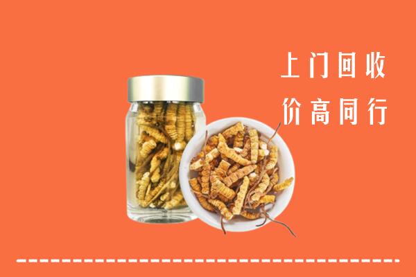 新乡市凤泉回收冬虫夏草